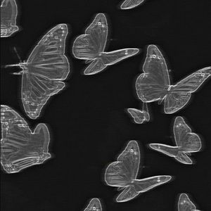 Meet your Posher, Marleigh